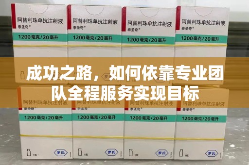 常州成功之路，如何依靠专业团队全程服务实现目标